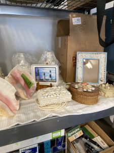 Sea shells and sand castles